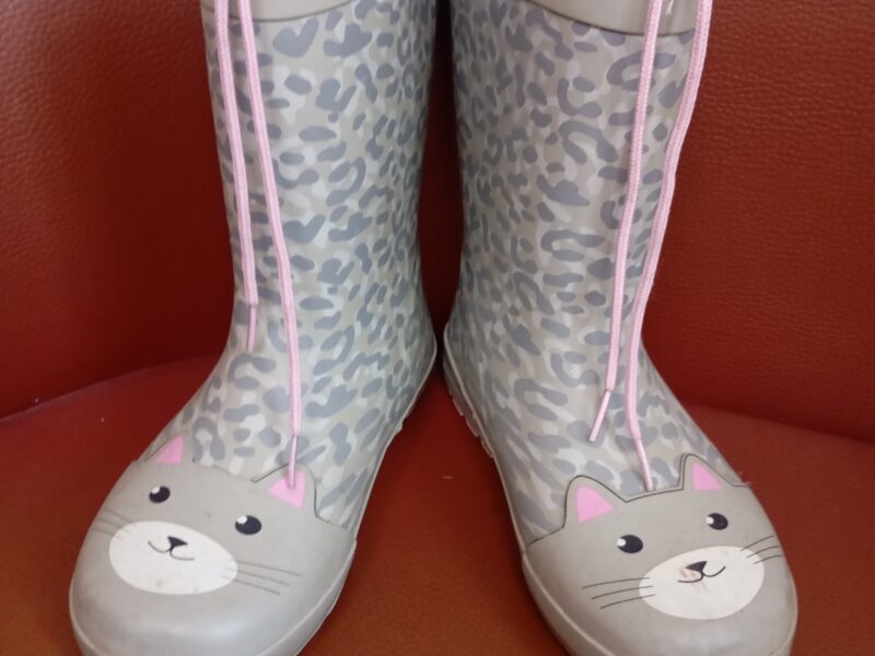 Dečije gumene čizme